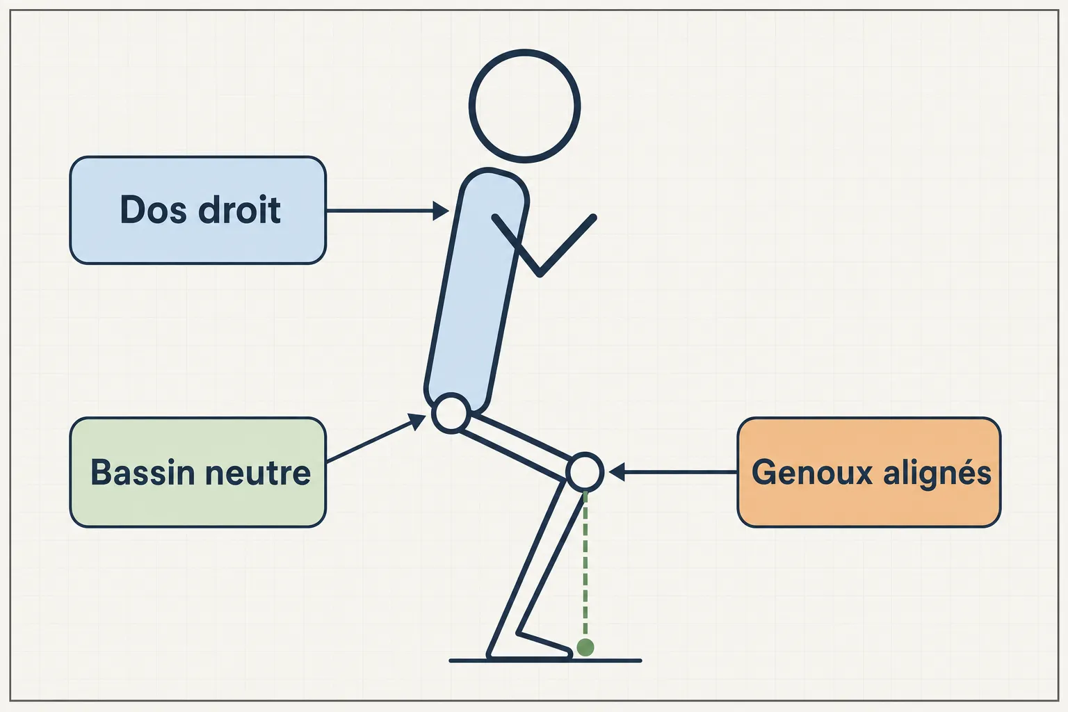 Schéma anatomique simple montrant une position debout avec bascule du bassin et genoux alignés, indiquant les points clés de l’alignement et du mouvement des hanches. Texte: Dos droit, Bassin neutre, Genoux alignés.